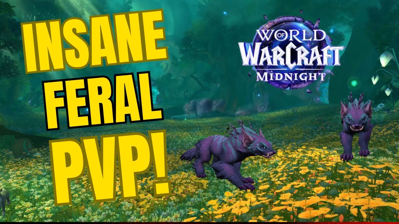 [Midnight BETA] WoW PvP INSANE BLEEDS - Feral Druid