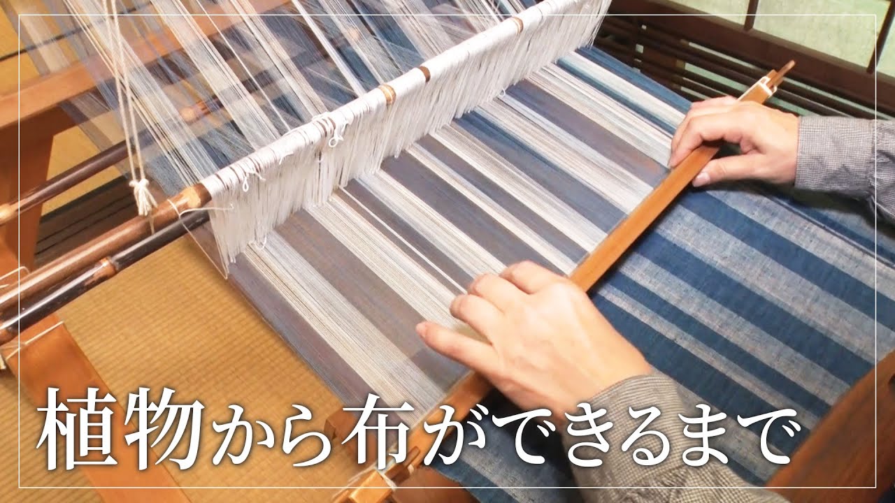 布はどう作られる？植物から糸、布ができるまでを解説【はしかけ活動】