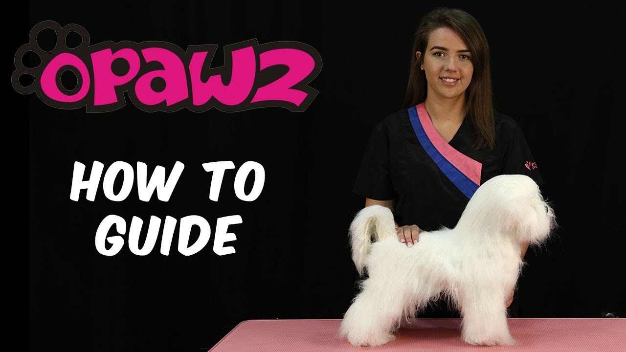 How To Assemble - Opawz Model Dog