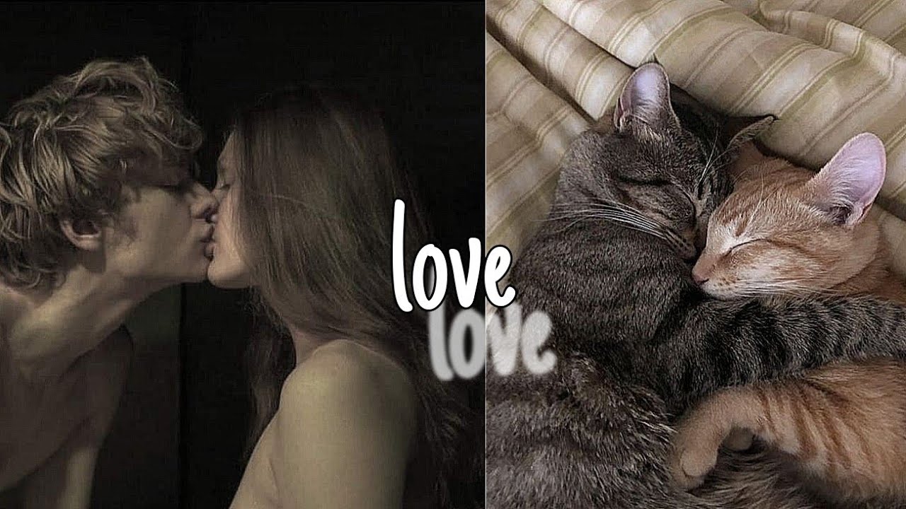 ｡･:*:･ﾟ’☆ взаимная любовь / крепкие и здоровые отношения / #subliminal от Onni