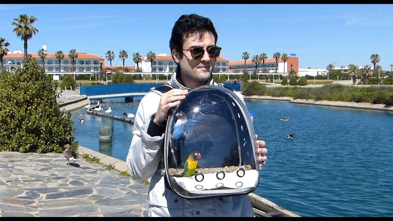 Mochila para poder pasear con tus aves de compañía, agapornis, cotorras, loros