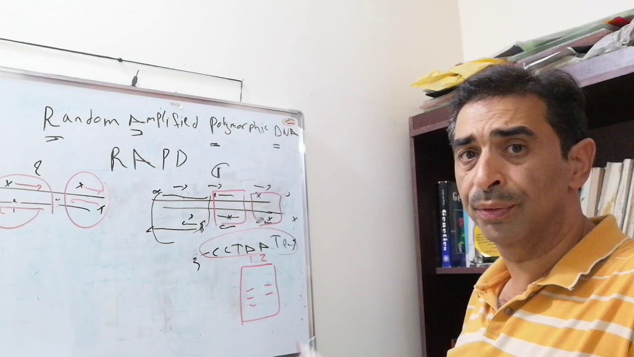 تقانة RAPD. د. رياض حمد