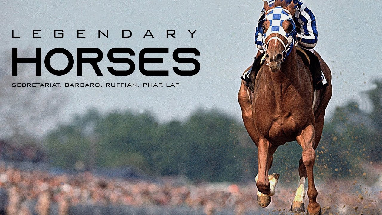 Legendary Horses || Secretariat, Barbaro, Ruffian, Phar Lap
