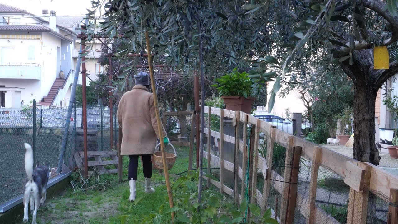 Una giornata magica in un autentico paese italiano | Capanna per il presepe, raccolta muschio
