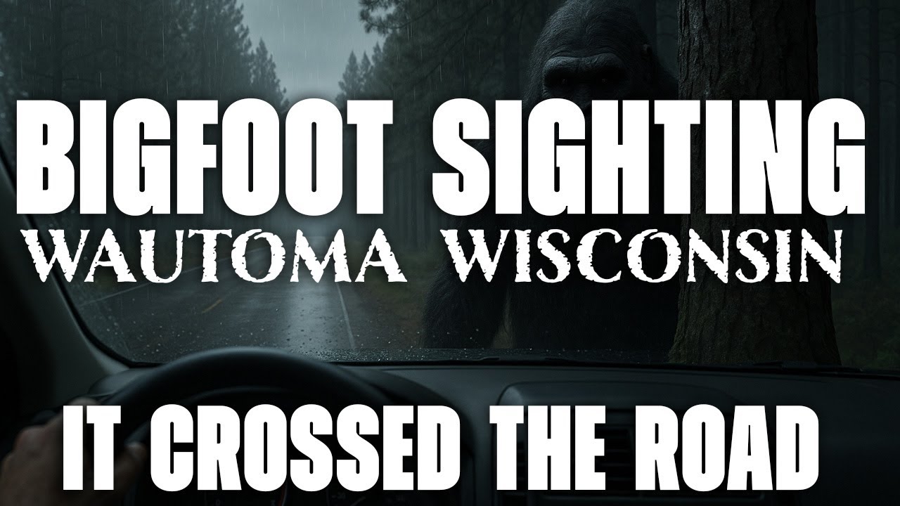 Wisconsin Man Sees Bigfoot Cross the Highway  “It Glided Like a Ghost” | Wautoma Wisconsin Highway C