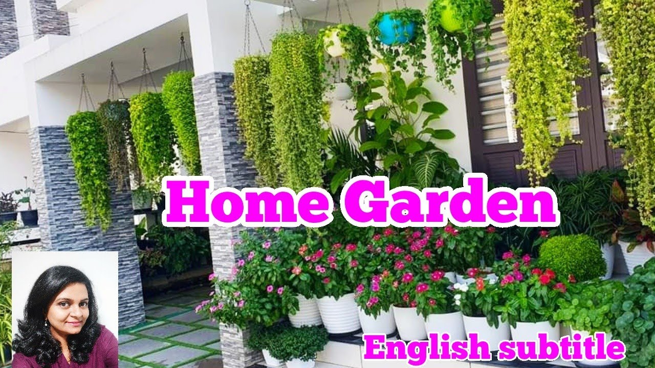 Beautiful Home garden tour|Hanging plants|Indoor plants|Terrace Garden ideas|DIYideas |salukoshy/