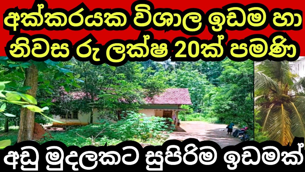 අක්කරයක ඉඩම හා නිවස රු ලක්ෂ 20 කට | House for sale | Land for sale | Aduwata idam | Aduwata niwasa