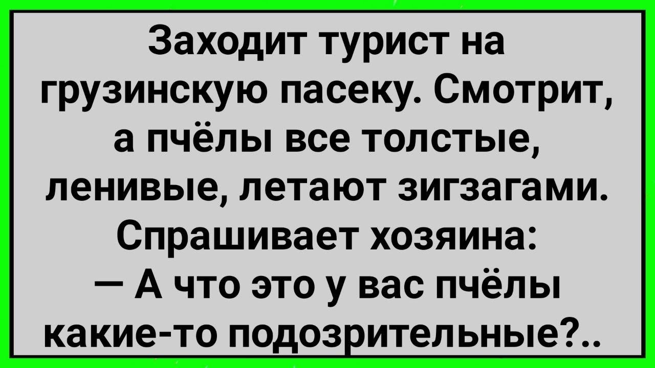 Как Турист Увидел Подозрительных Грузинских Пчел! Сборник Свежих Смешных Анекдотов!