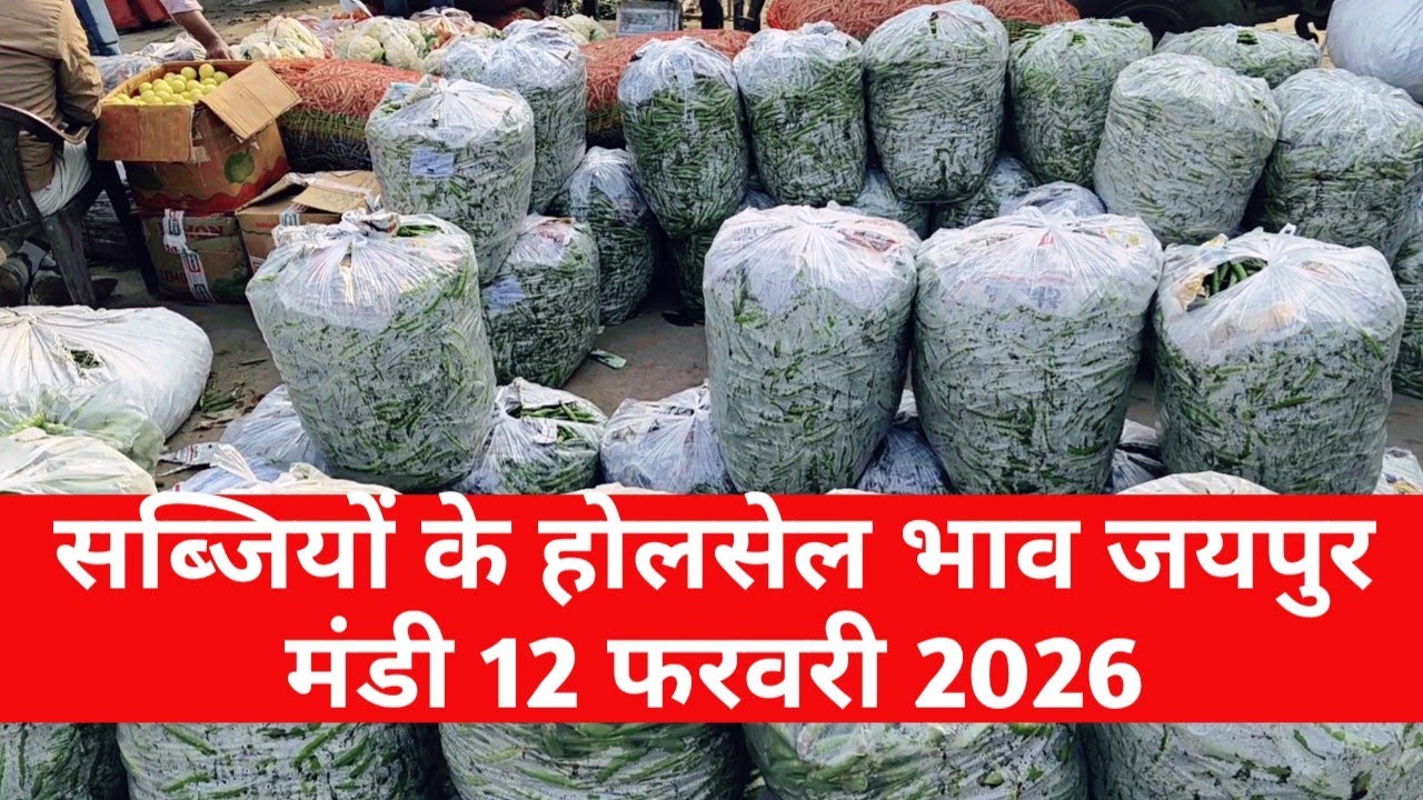 12 फरवरी 2026 सब्जियों का भाव | जयपुर सब्जी भाव | सब्ज़ियों के भाव जयपुर / vegetable market Jaipur
