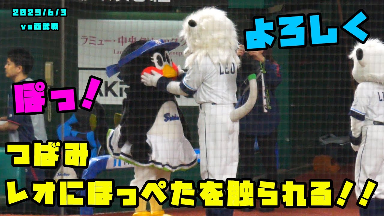 つばみ　レオにほっぺたを触られる！！　2025/6/3 vs西武