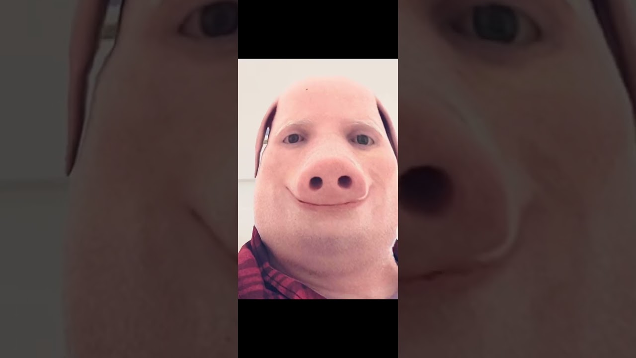 Oh the misery but its just random images i got from the internet