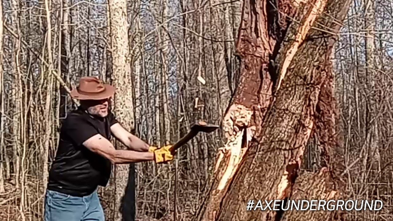 Axemanship, know when to stop, Timberpilot and Masdam