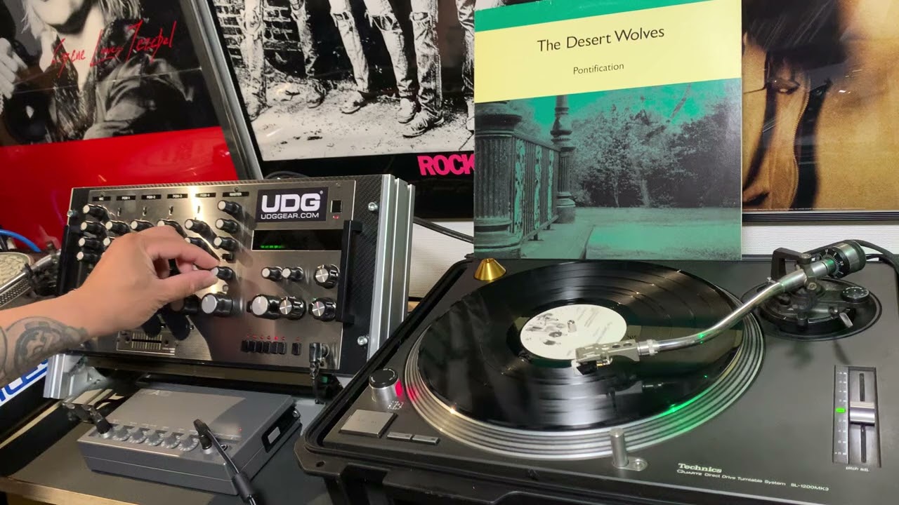 The desert wolves - passion in the efternoon