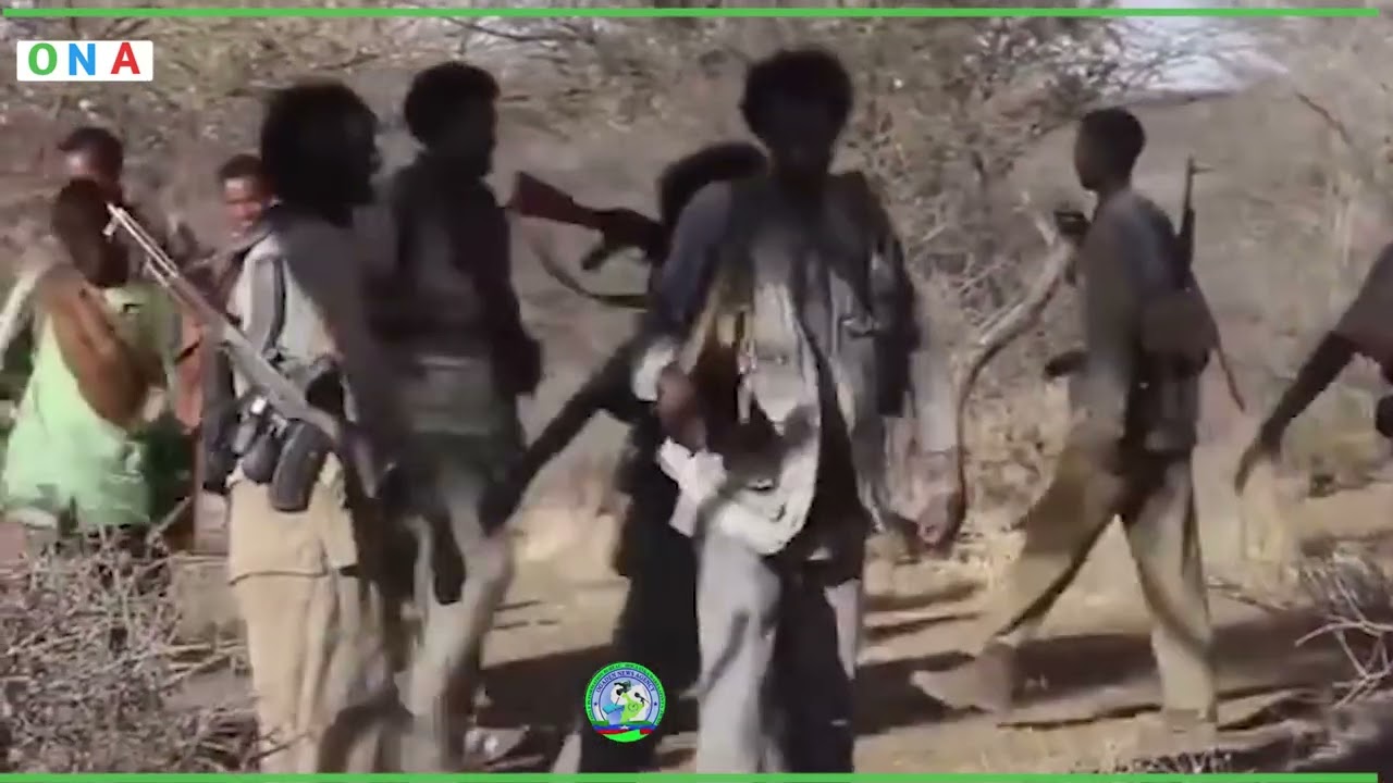 Daawo: Taxanaha Sheeko-halgameedda: Ha Dareemin Geerida, Qaybta Sagaalaad.