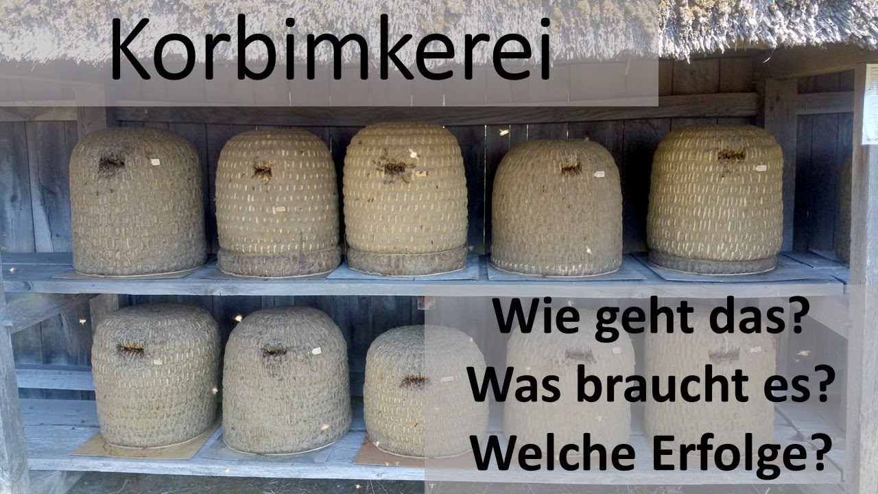 Ingo Lau - Korbimkerei in der Heide