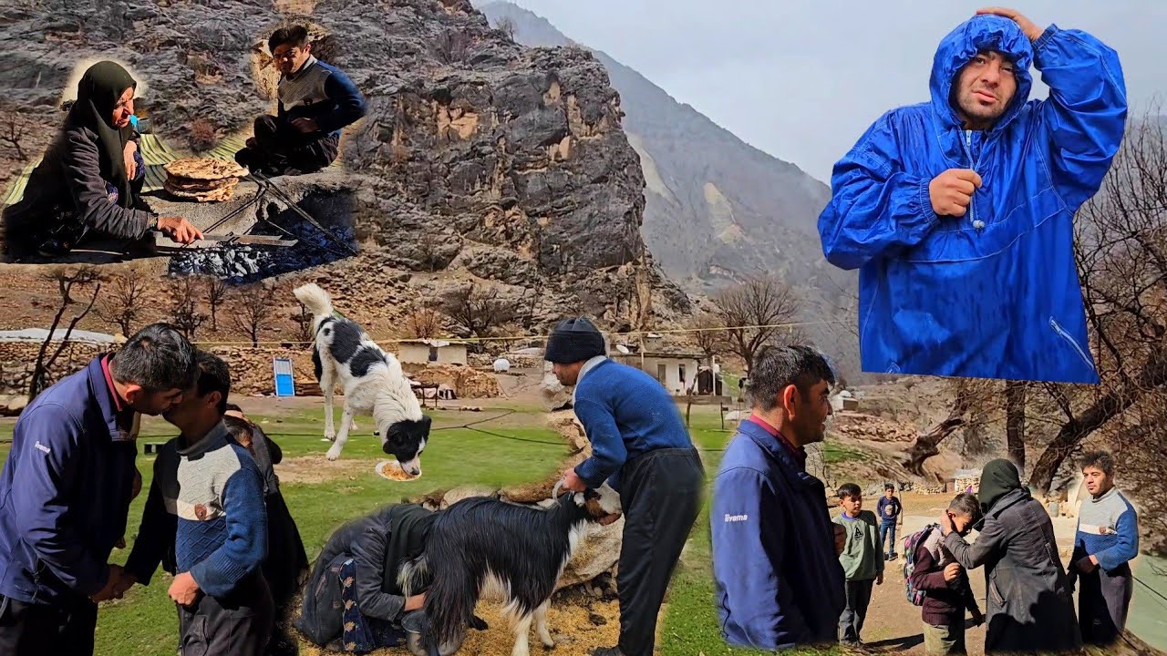The Truth They Never Wanted You to Know | Life in the Mountains