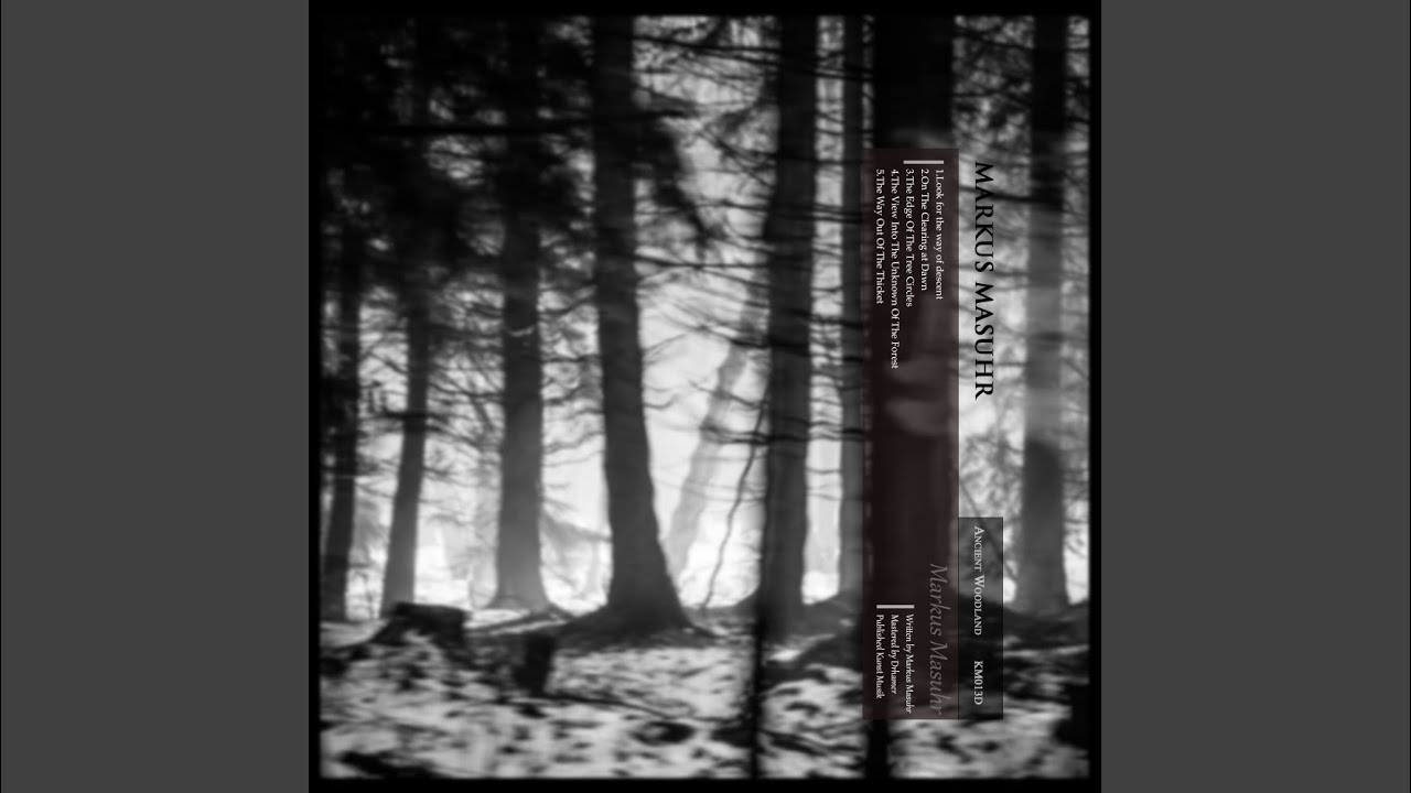 The Way Out of The Ticket (Original Mix)