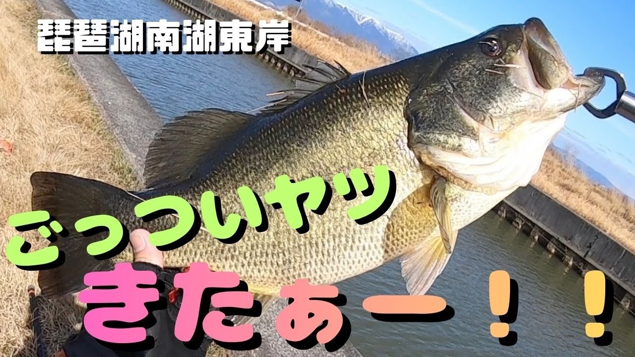 【琵琶湖バス釣り】南湖東岸の小規模河川でバマスト！開始直後に今年初の南湖バスが強烈バイト！