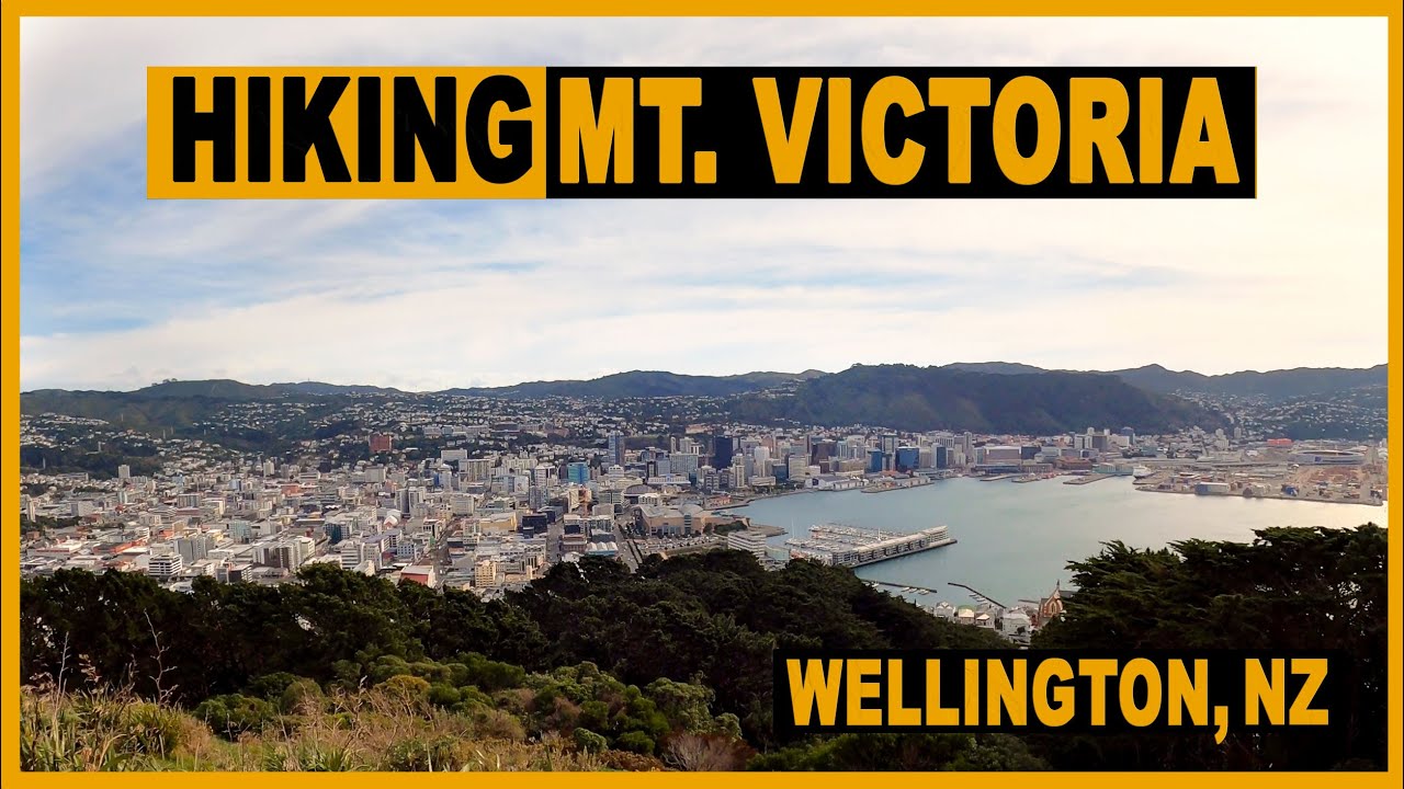 Hiking Mount Victoria, Wellington (Lookout view) | New Zealand Hiking Trails 4K