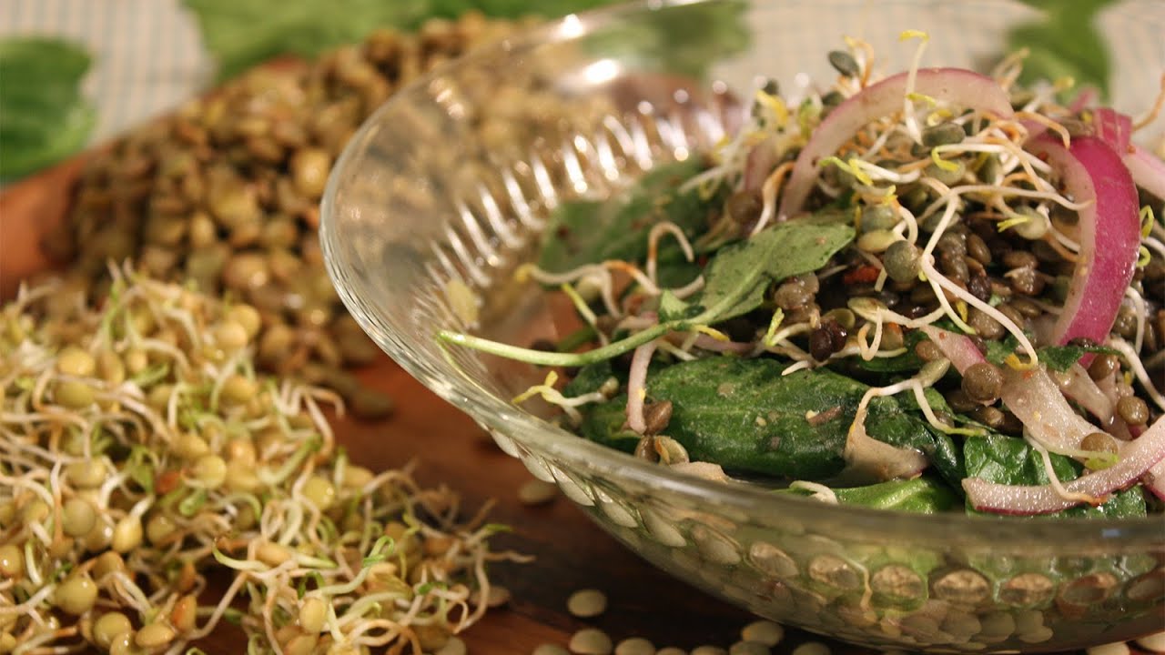 Lentils and Salads