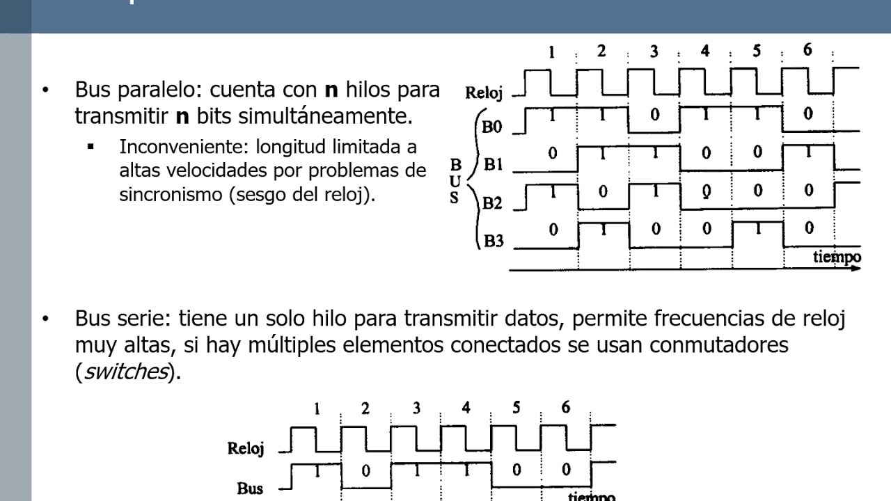 Tipos de buses y características