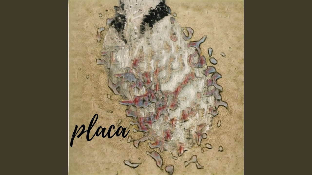 Placa