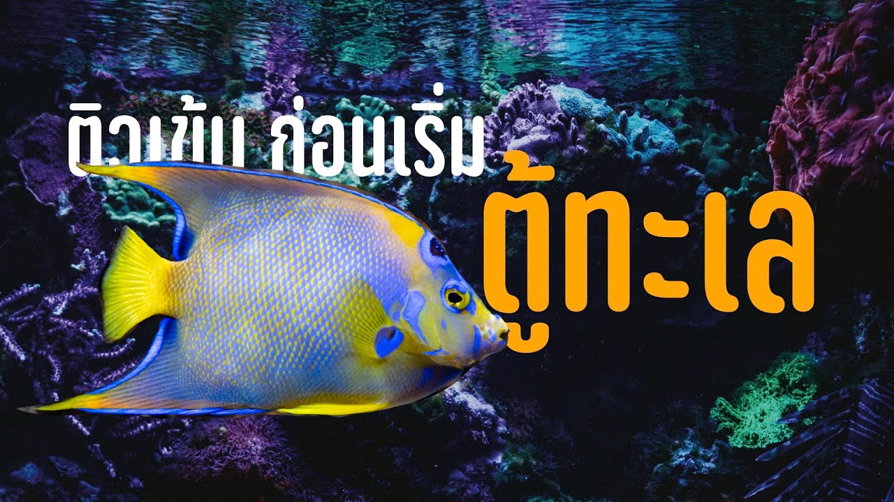 ก้าวทีละก้าวก่อนเริ่มเข้าวงการ 
