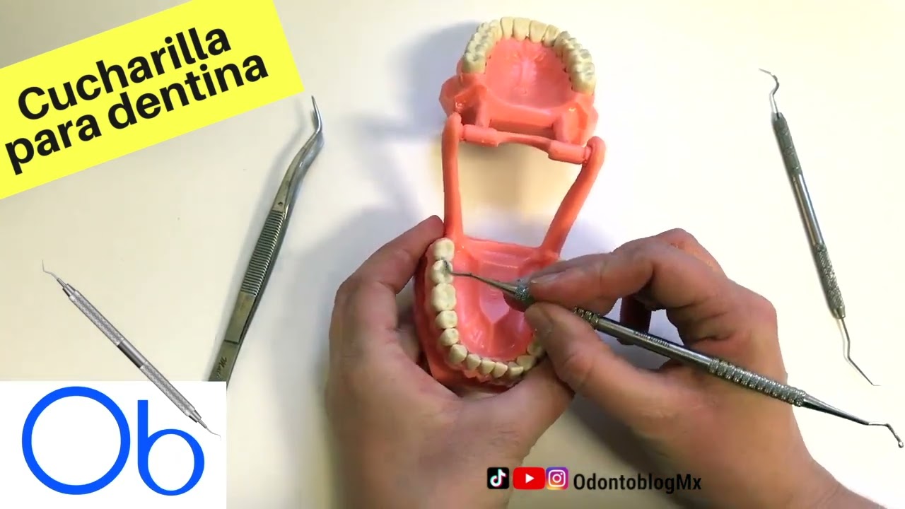 Cucharilla para dentina