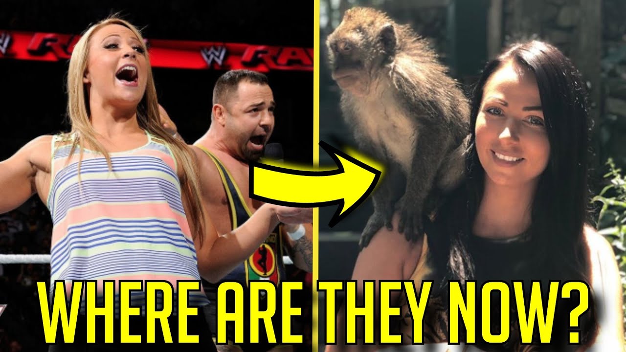 10 WWE Wrestlers That Got RELEASED: Where Are They Now?