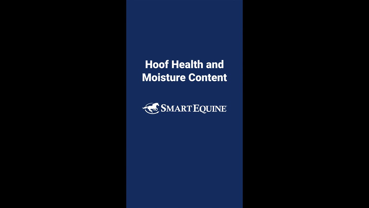 How Moisture in the Environment Affects Horse Hoof Health