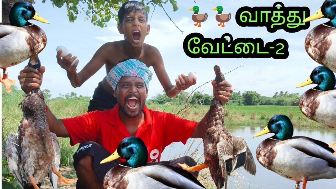 வாத்து 🦆🦆 வேட்டை -2 #duck #duckhunters