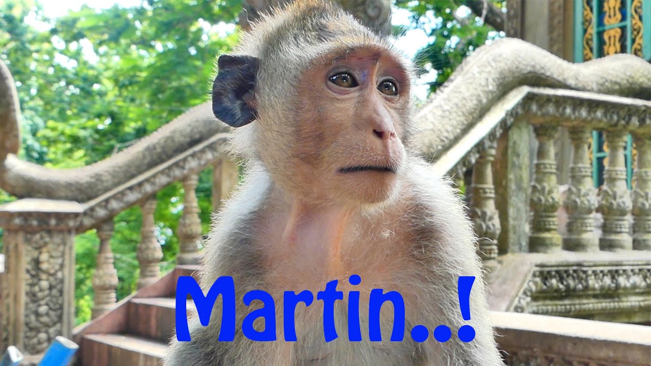Oh My God..! Martin Getting So Handsome Man Now But His Face Looks Still Sad