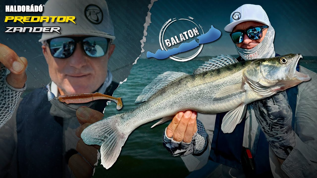 Döme Gábor - Offset horgos süllőzés a Balatonon