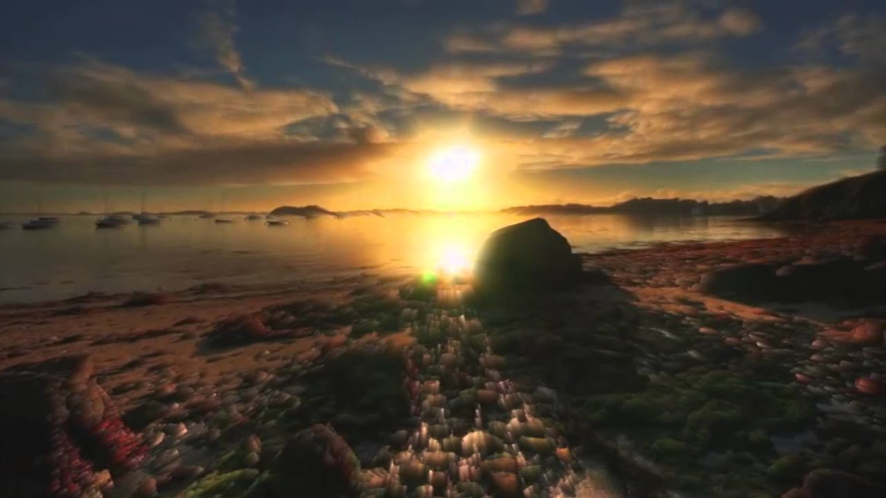 beatboxbandit - the word