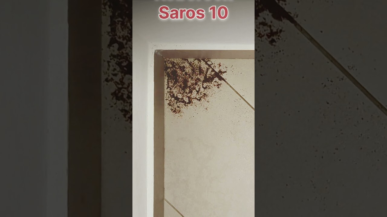 Test Pulizia Angoli - DREAME X50 vs ROBOROCK SAROS 10