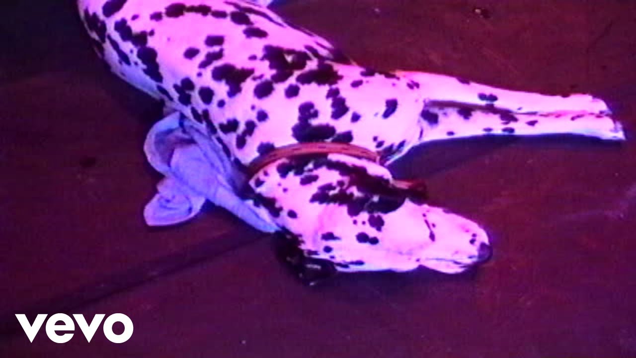 Sublime - Work That We Do (Live At The Palace/1995)