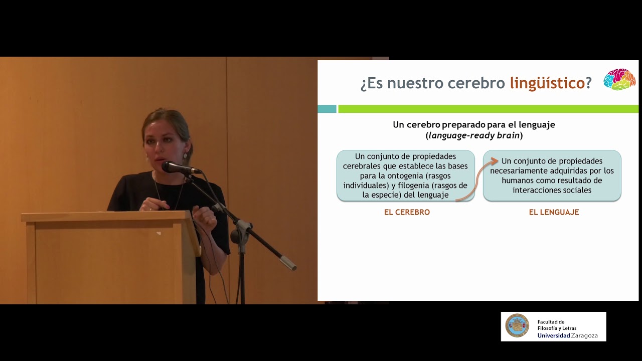el cerebro lingüístico