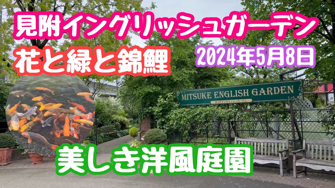 2024年5月8日 見附イングリッシュガーデン 花と緑と錦鯉 美しき洋風庭園！新潟県見附市