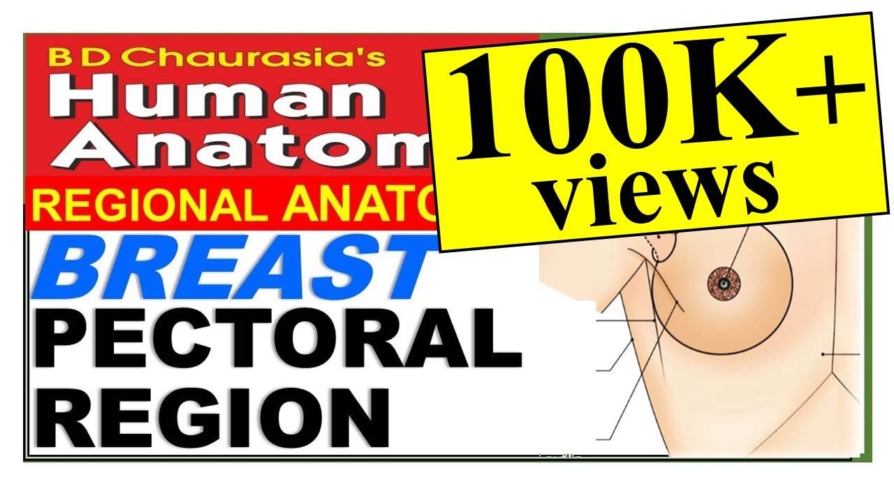 Chp3 | Pectoral Region | BRE@ST | Upper Limb | BD Chaurasia Regional Anatomy | Dr Asif Lectures