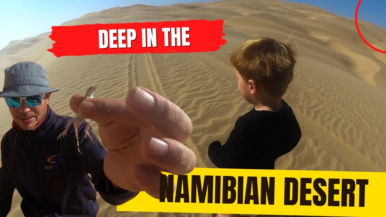 The worlds oldest desert | off-road deep in Namibia