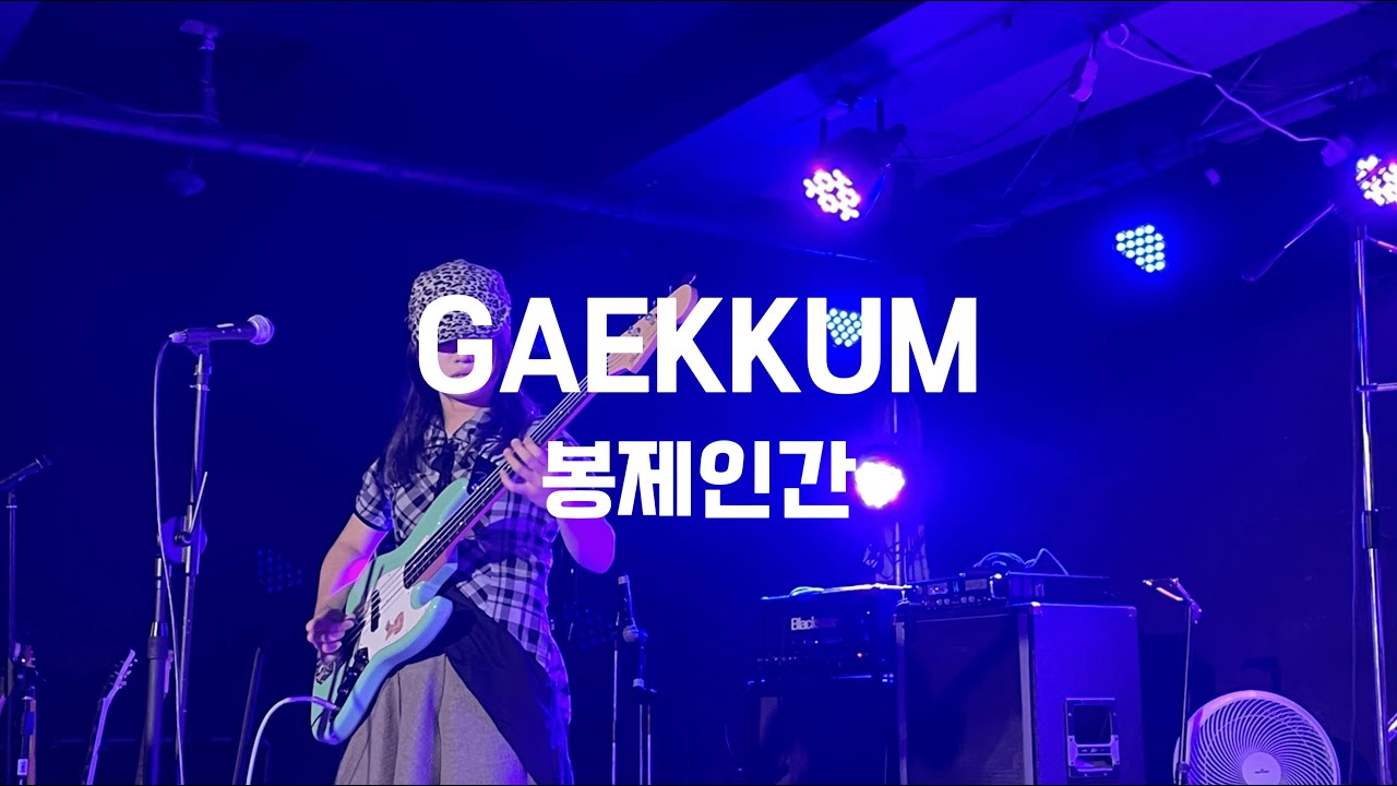 봉제인간 - GAEKKUM (서강대학교 맥박 cover)