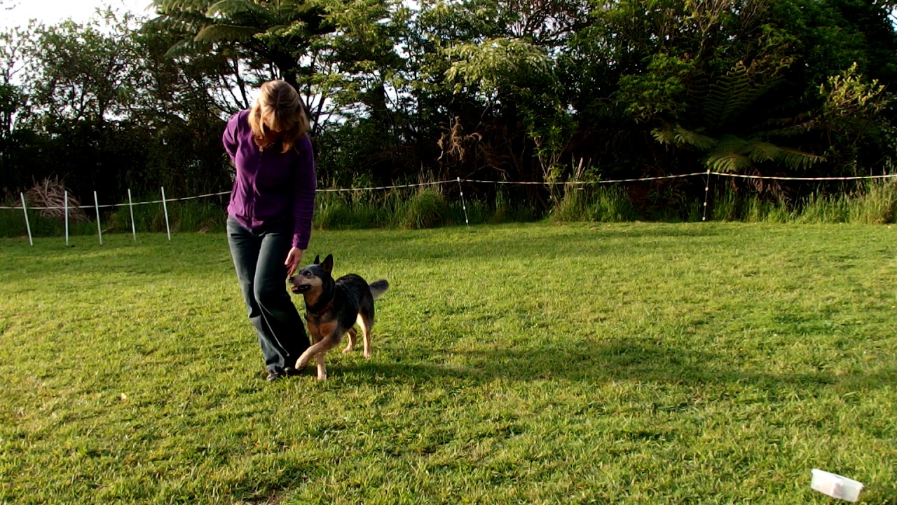 Tatiana and Sofie - walking paw cross on the left side