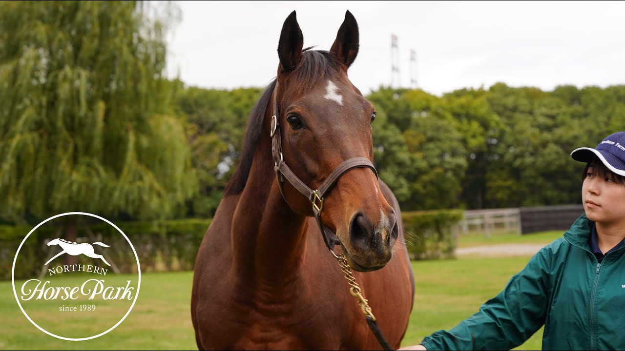 【祝！顕彰馬選出】 アーモンドアイ、そしてジェンティルドンナたちに会いに行きました