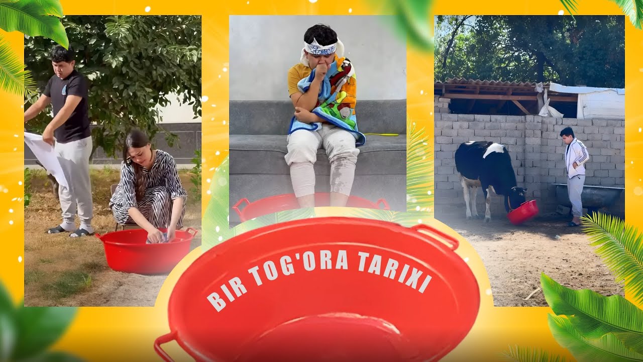 Bir TOG&rsquo;ORA qissasi 😂 | Mittivine