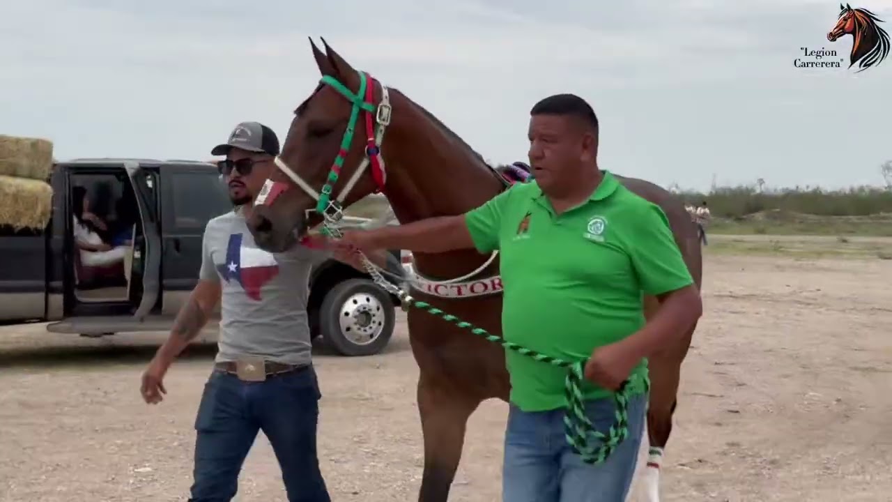 Victoria cuadra rancho el katrin vs metalica cda don eliseo satevo race track 