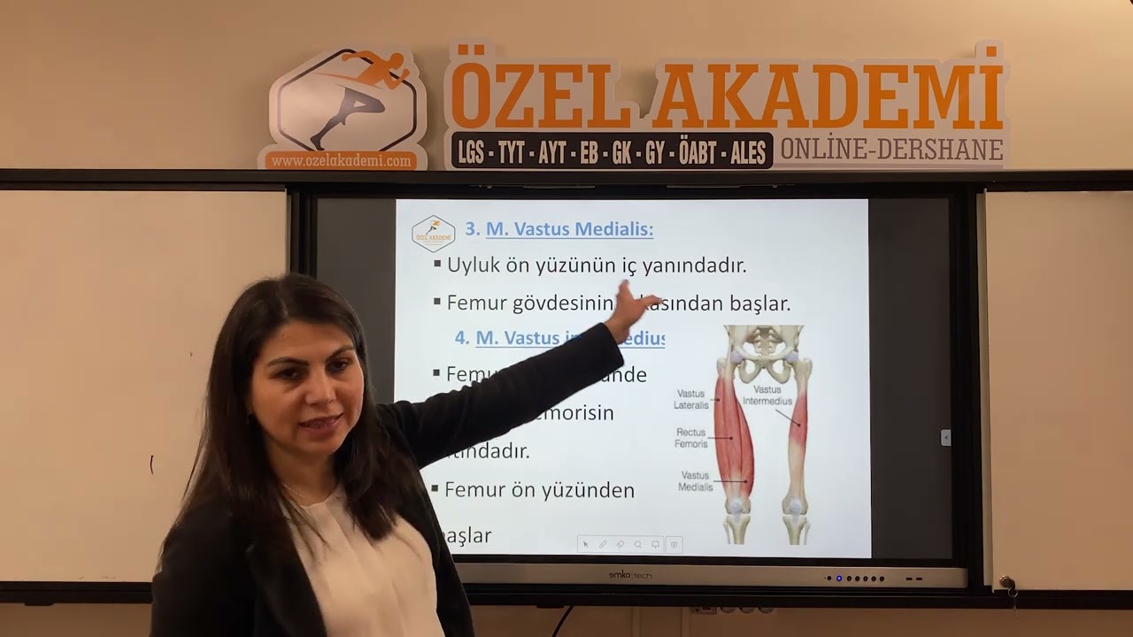 Bacak Kasları