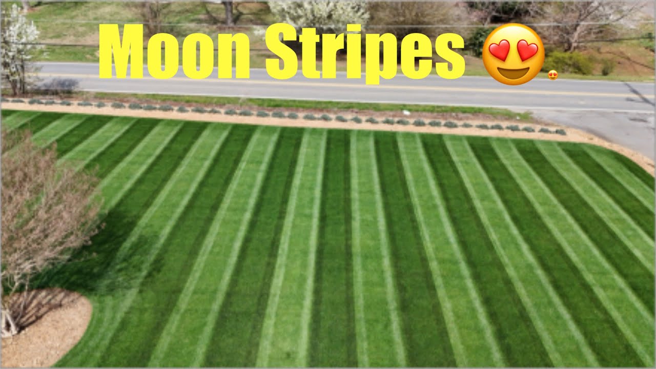 DIY Lawn Care Spring Mowing