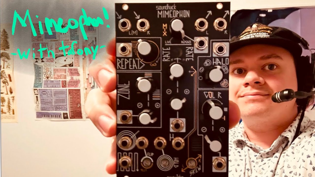 Rambling About: Make Noise Mimeophon with tafony