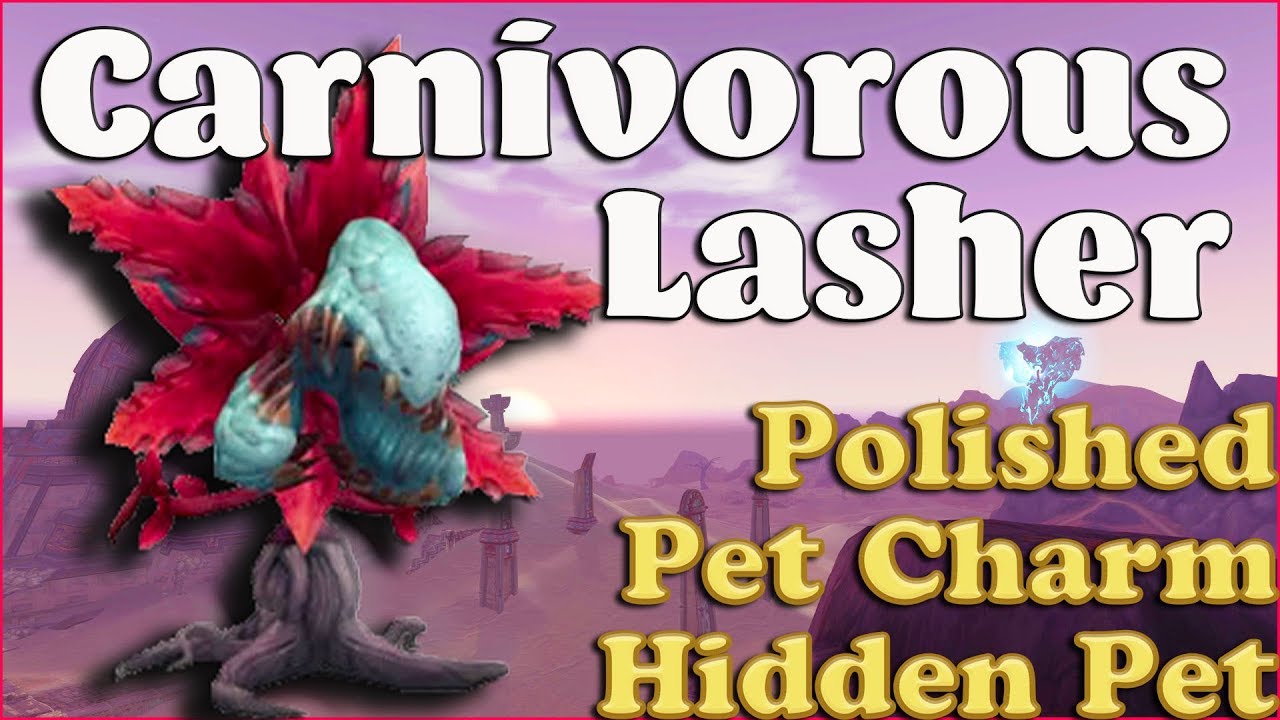 Hidden pet Carnivorous Lasher