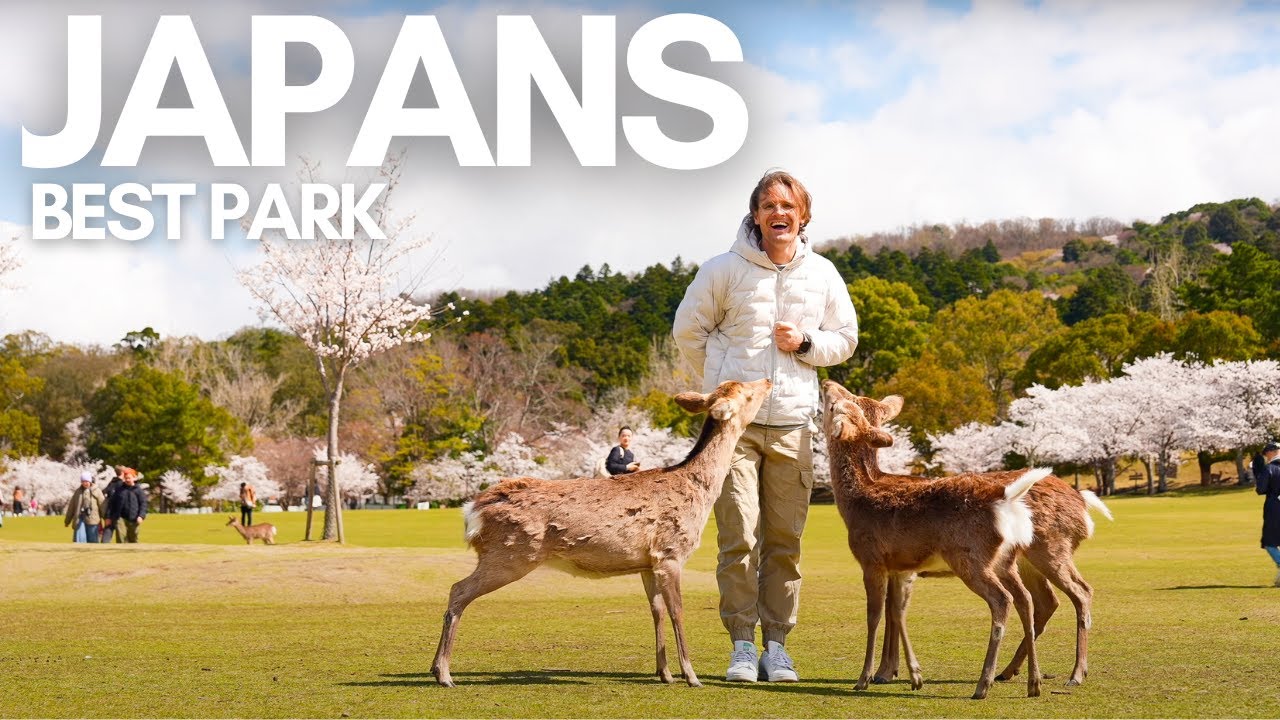 How to have the best day in Nara Japan 奈良公園😍🦌